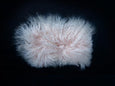 Globehopper Wallet - Candyfloss Lamb - PEDRO'S BLUFF - New Zealand Leather Bags & Accessories